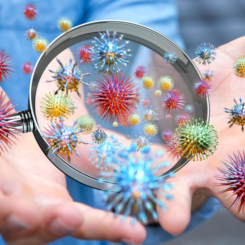 Photos page d’accueil Lingolsheim 3