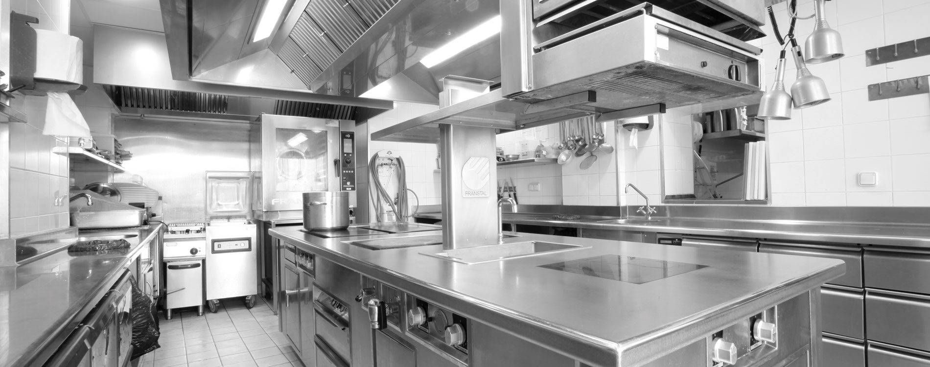 Pourquoi protéger votre Restaurant contre les nuisibles avec NOXI Experts ?  Sélestat