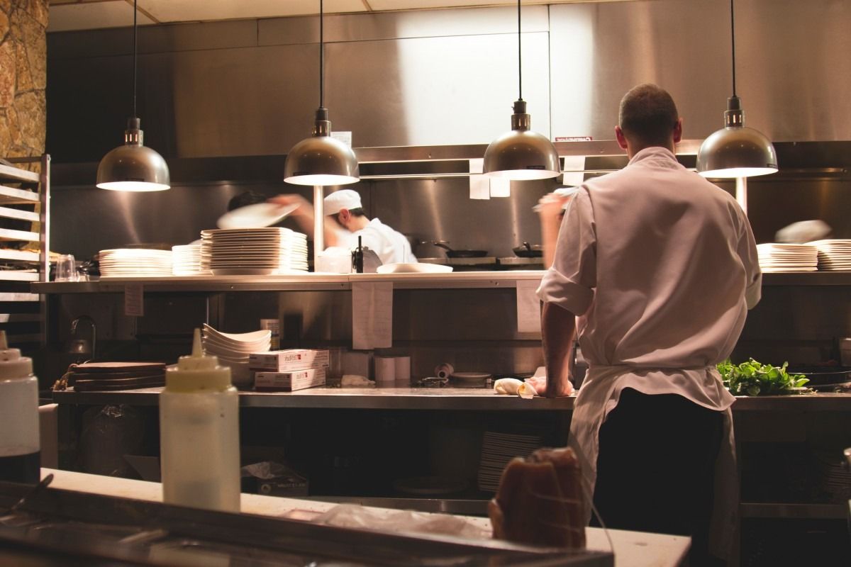 DERATISATION RESTAURANT 1200X | Noxi experts Pourquoi protéger votre Restaurant contre les nuisibles avec NOXI Experts ? Sélestat 0