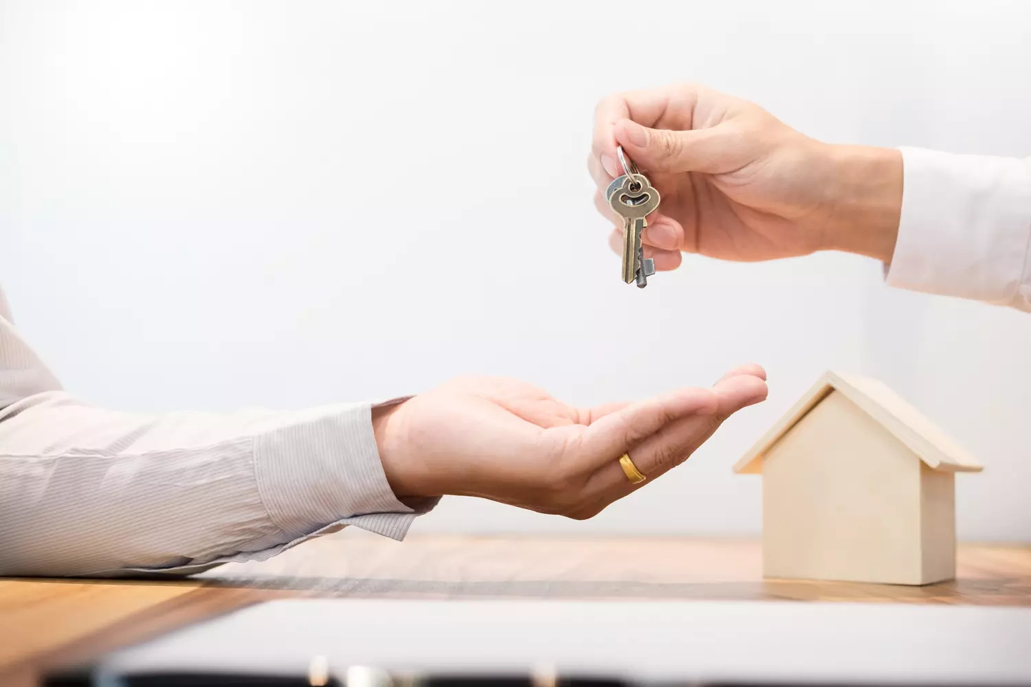 33936671 | Noxi experts Copropriété : À Qui Revient la Charge des Interventions contre les Nuisibles ? Bischheim 0